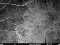 Nov 1 2025 18:00:30, #01