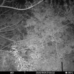 Nov 1 2025 21:00:32, #01