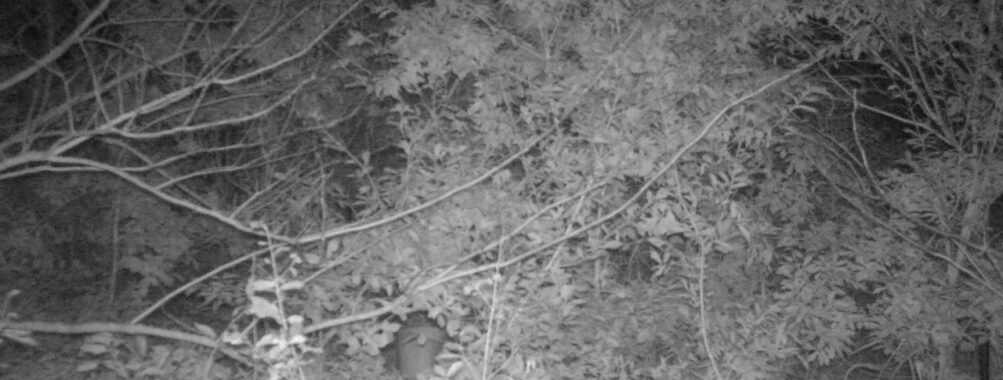 Nov 2 2025  0:00:31, #01