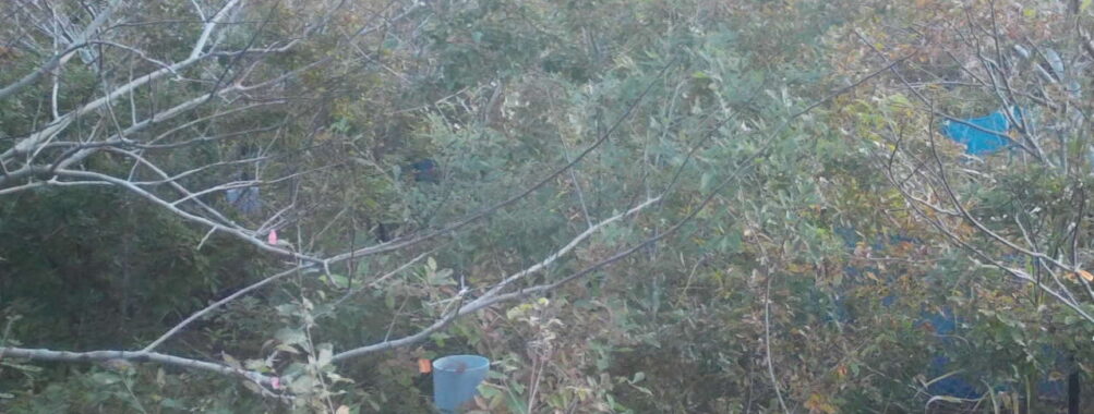 Nov 2 2025  6:00:30, #01