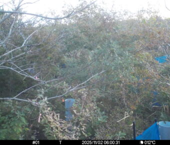 Nov 2 2025  6:00:30, #01