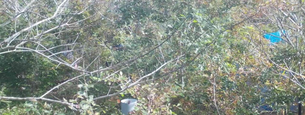 Nov 2 2025  9:00:31, #01