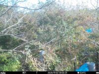 Nov 2 2025  9:00:31, #01