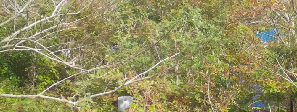 Nov 2 2025 12:00:31, #01