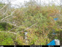 Nov 2 2025 12:00:31, #01