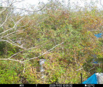 Nov 2 2025 12:00:31, #01