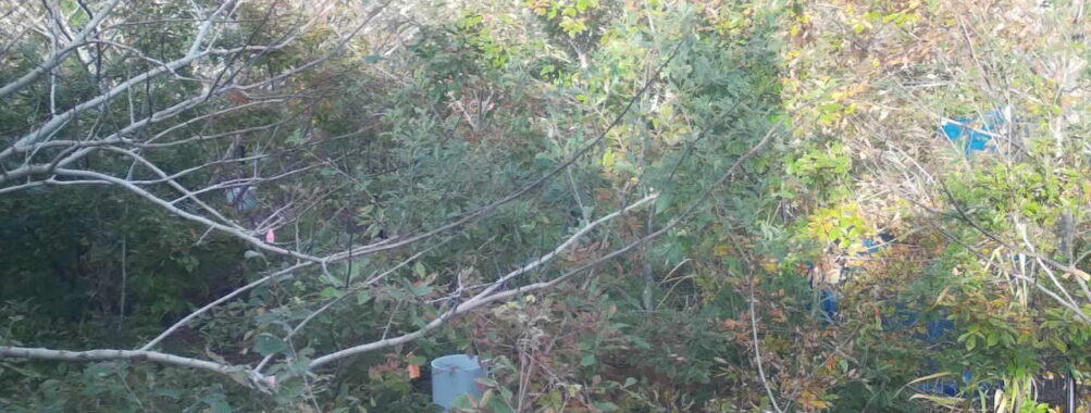 Nov 2 2025 15:00:32, #01