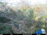 Nov 2 2025 15:00:32, #01