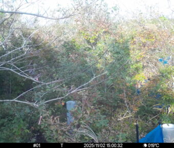 Nov 2 2025 15:00:32, #01