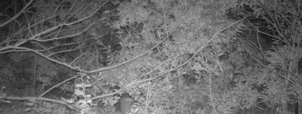 Nov 2 2025 21:00:32, #01