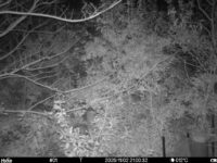 Nov 2 2025 21:00:32, #01