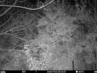 Nov 3 2025  3:00:31, #01