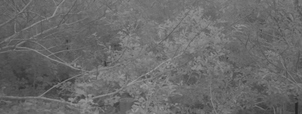 Nov 3 2025  6:00:32, #01