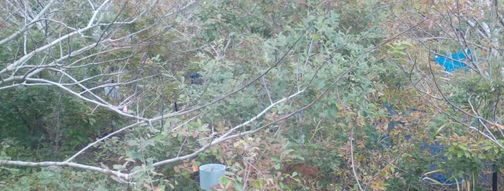 Nov 3 2025  9:00:32, #01