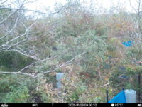 Nov 3 2025  9:00:32, #01