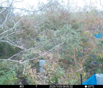 Nov 3 2025  9:00:32, #01