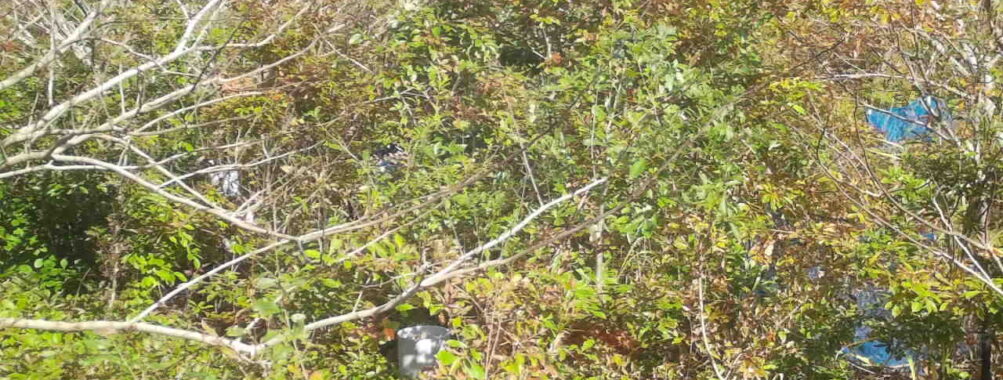 Nov 3 2025 12:00:32, #01