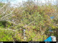 Nov 3 2025 12:00:32, #01