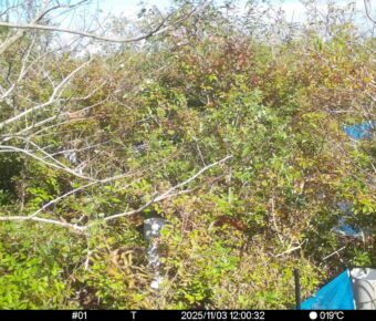 Nov 3 2025 12:00:32, #01