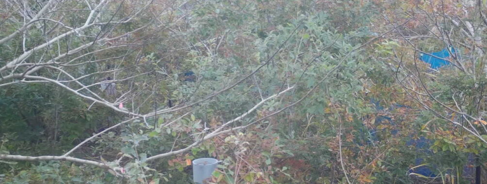 Nov 3 2025 15:00:32, #01