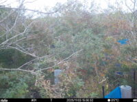 Nov 3 2025 15:00:32, #01