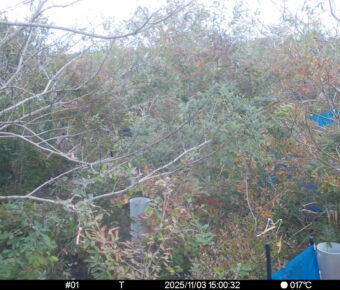 Nov 3 2025 15:00:32, #01