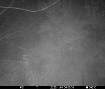 Nov 4 2025  0:00:31, #01