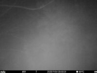 Nov 4 2025  3:00:31, #01