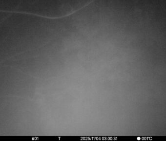 Nov 4 2025  3:00:31, #01