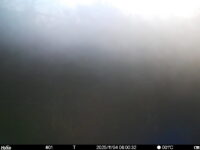 Nov 4 2025  6:00:32, #01