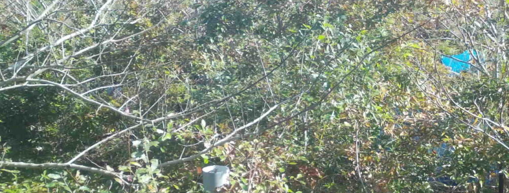 Nov 4 2025  9:00:32, #01