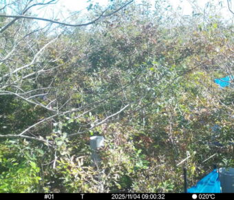 Nov 4 2025  9:00:32, #01