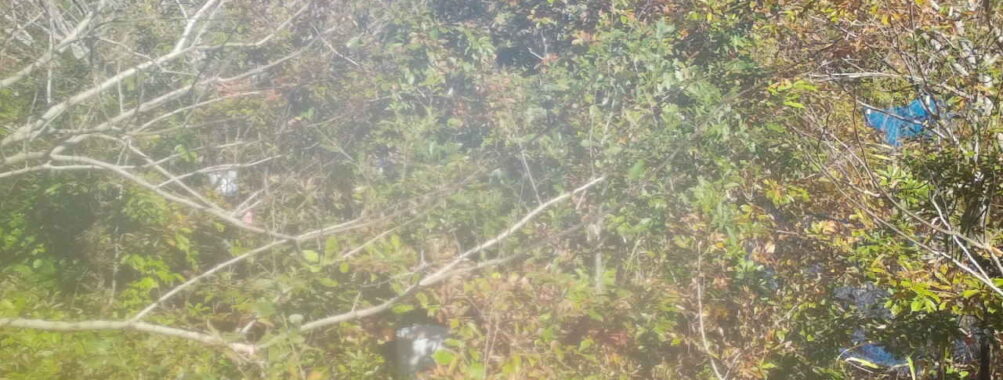 Nov 4 2025 12:00:32, #01