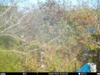 Nov 4 2025 12:00:32, #01