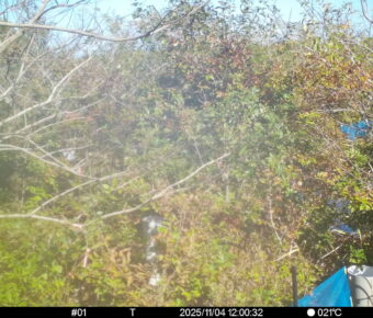 Nov 4 2025 12:00:32, #01