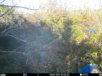 Nov 4 2025 15:00:32, #01