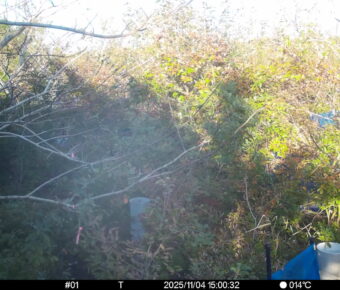 Nov 4 2025 15:00:32, #01