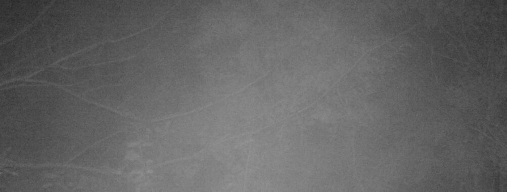 Nov 4 2025 21:00:32, #01