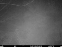 Nov 4 2025 21:00:32, #01