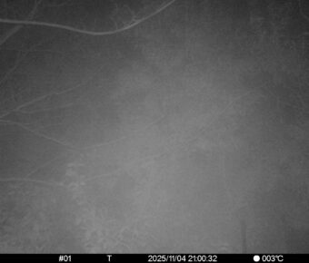 Nov 4 2025 21:00:32, #01