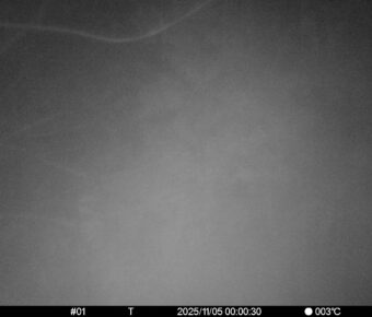 Nov 5 2025  0:00:30, #01