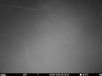 Nov 5 2025  3:00:31, #01