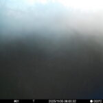 Nov 5 2025 6:00:31, #01