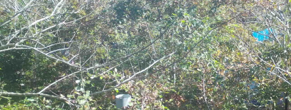 Nov 5 2025  9:00:32, #01