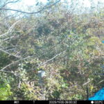 Nov 5 2025 9:00:32, #01