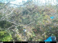 Nov 5 2025  9:00:32, #01