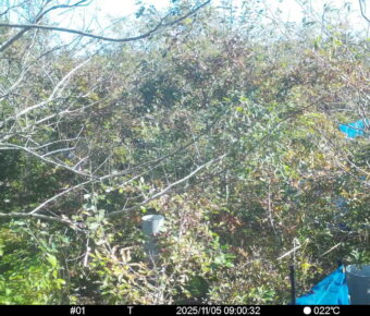 Nov 5 2025  9:00:32, #01