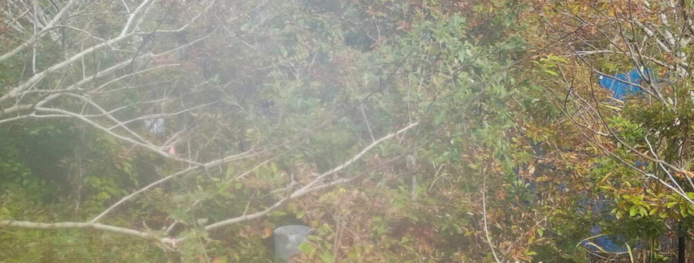 Nov 5 2025 12:00:32, #01