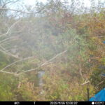 Nov 5 2025 12:00:32, #01