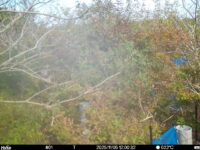 Nov 5 2025 12:00:32, #01